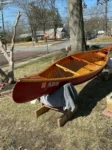 Chestnut Sail Canoe