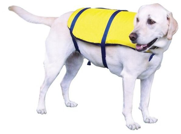 Onyx Dog Life Vests